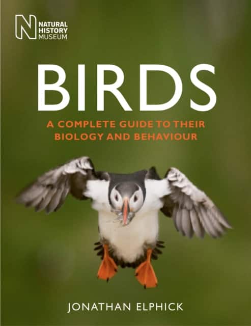 Birds av Jonathan Elphick