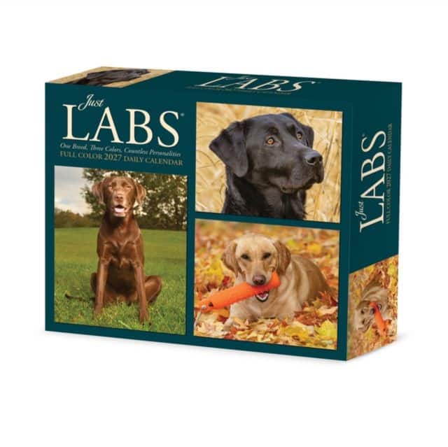 Labs 2027 Box av Willow Creek Press