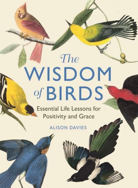 The Wisdom of Birds av Alison Davies
