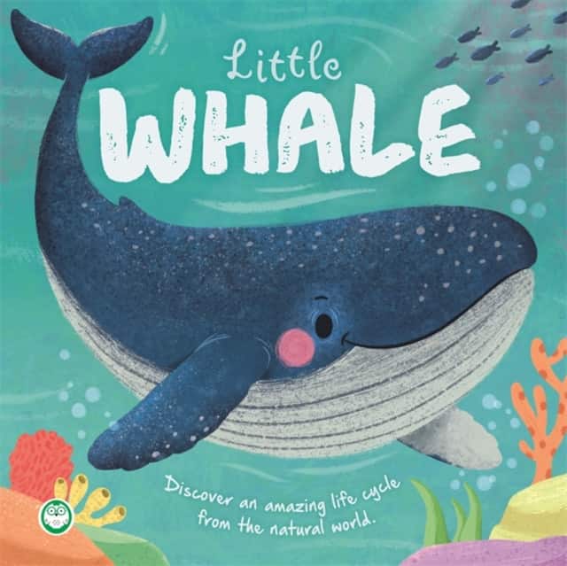 Little Whale av Autumn Publishing