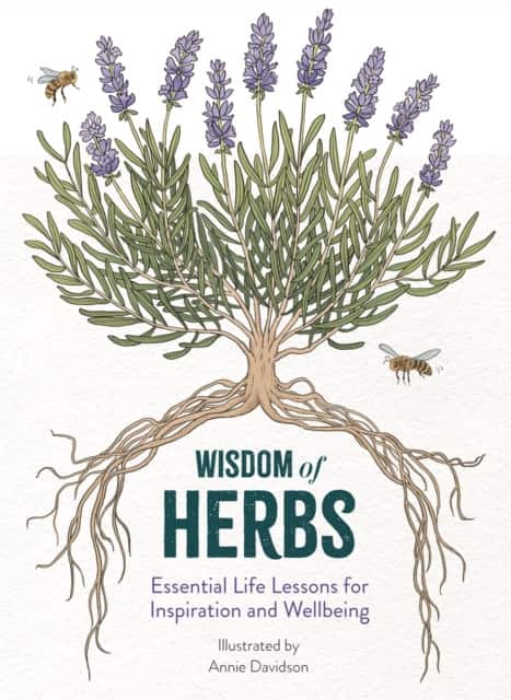 Wisdom of Herbs av Alison Davies