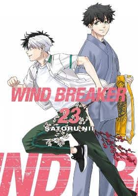 WIND BREAKER 23 av Satoru Nii