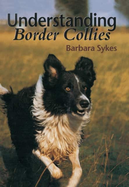 Understanding Border Collies av Barbara Sykes