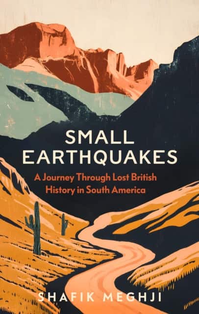 Small Earthquakes av Shafik Meghji