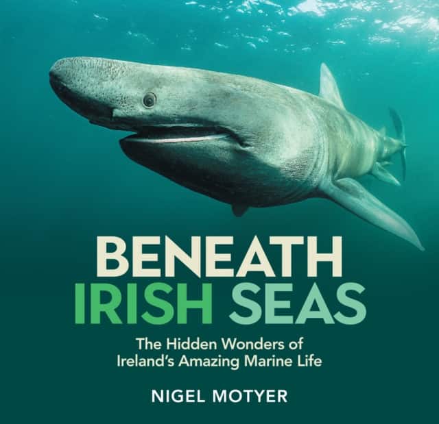 Beneath Irish Seas av Nigel Motyer