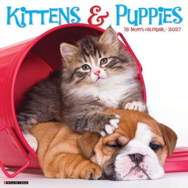 Kittens & Puppies 2027 Wall av Willow Creek Press