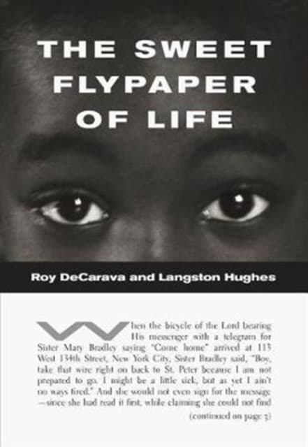 The Sweet Flypaper of Life (softcover)