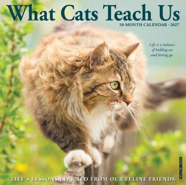 What Cats Teach Us 2027 Wall
