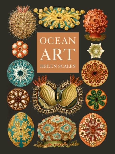 Ocean Art – From the Shore to the Deep