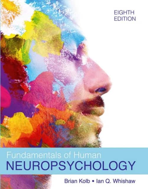 Fundamentals of Human Neuropsychology av Bryan Kolb