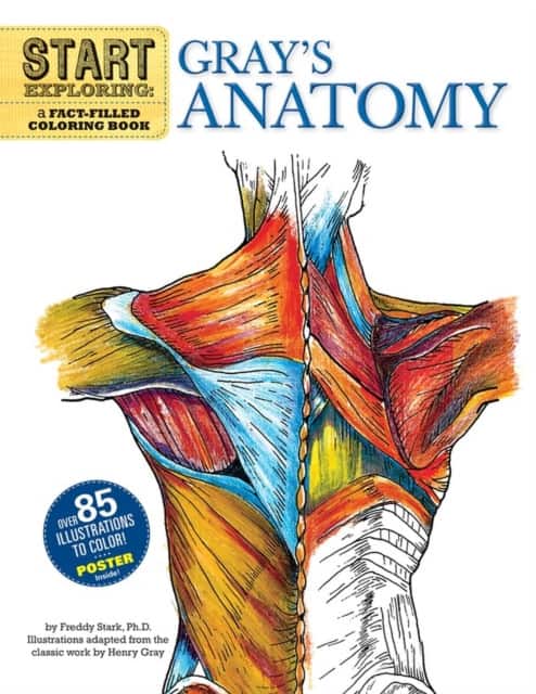 Start Exploring: Gray's Anatomy av Freddy Stark