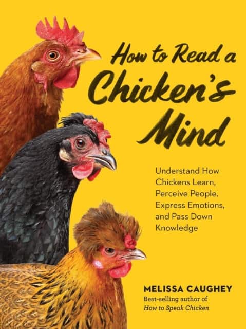 How to Read a Chicken's Mind av Melissa Caughey