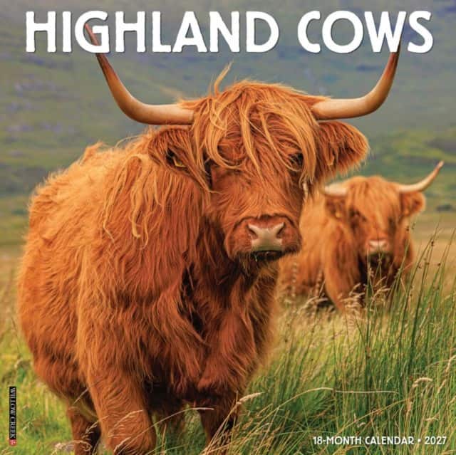 Highland Cows 2027 Wall av Willow Creek Press
