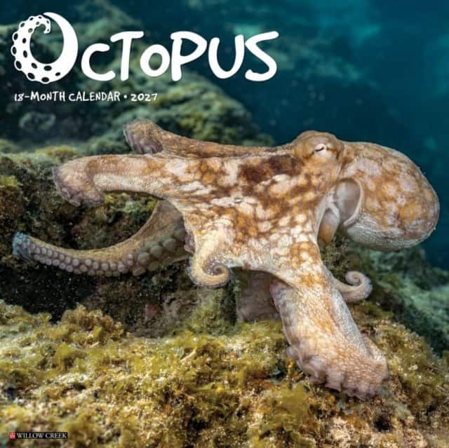 Octopus 2027 Wall av Willow Creek Press