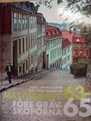 Masthugget före grävskoporna