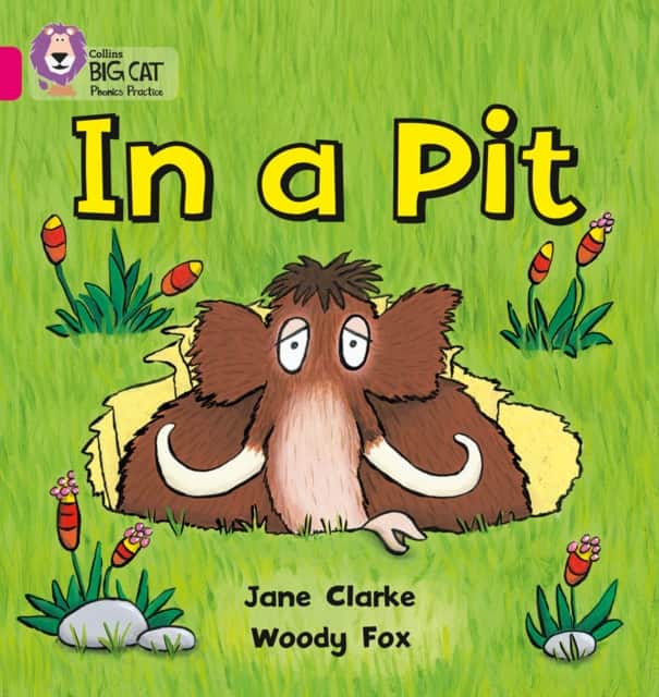 In a Pit av Jane Clarke