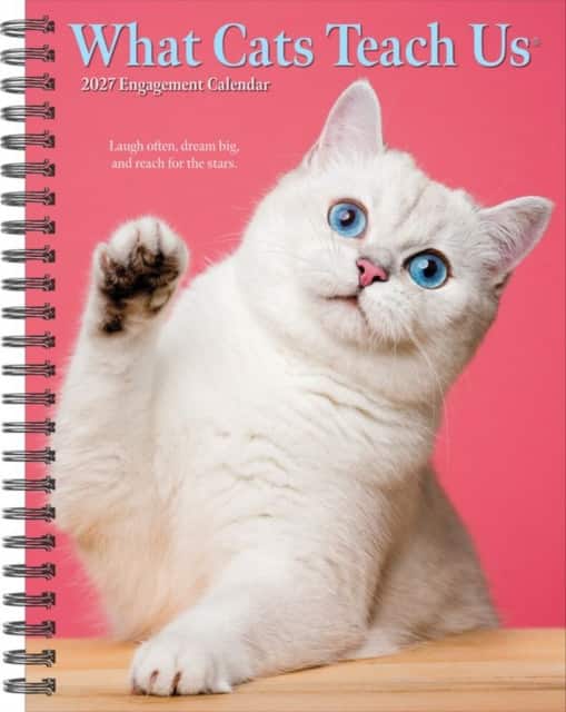 What Cats Teach Us 2027 Engagement av Willow Creek Press