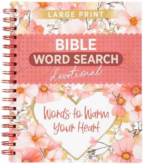 Words to Warm Your Heart av Broadstreet Publishing Group LLC