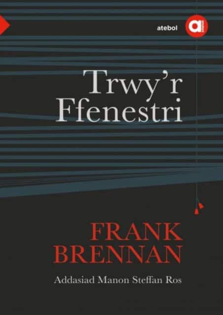 Cyfres Amdani: Trwy'r Ffenestri av Manon Steffan Ros