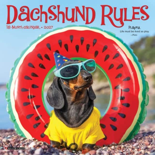 Dachshund Rules 2027 Mini av Willow Creek Press