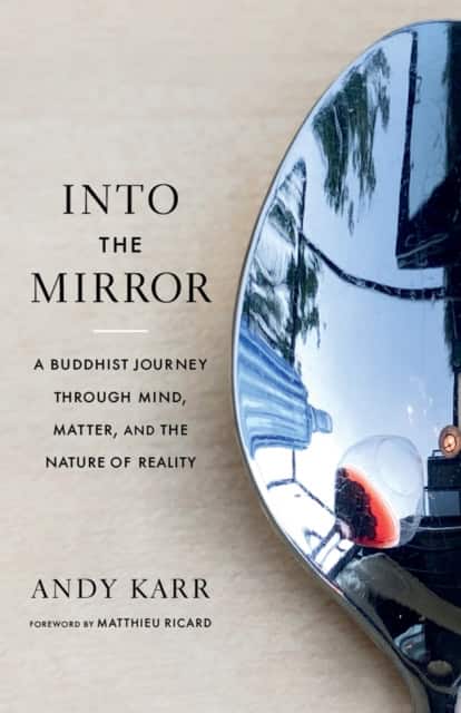 Into the Mirror av Andy Karr