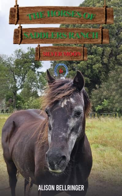 The Horses of Saddlers Ranch: Silver Moon av Alison Bellringer