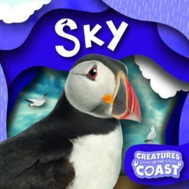 Sky av Robin Twiddy