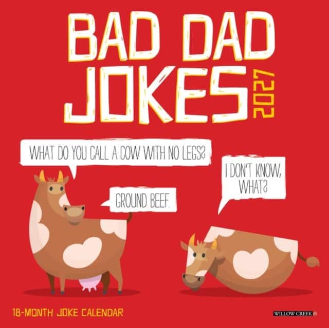 Bad Dad Jokes 2027 Mini av Willow Creek Press