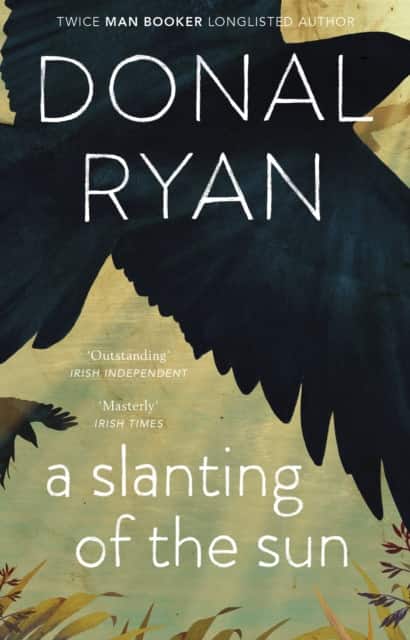 A Slanting of the Sun av Donal Ryan