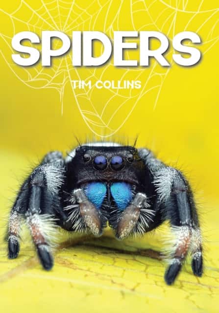 Spiders av Tim Collins