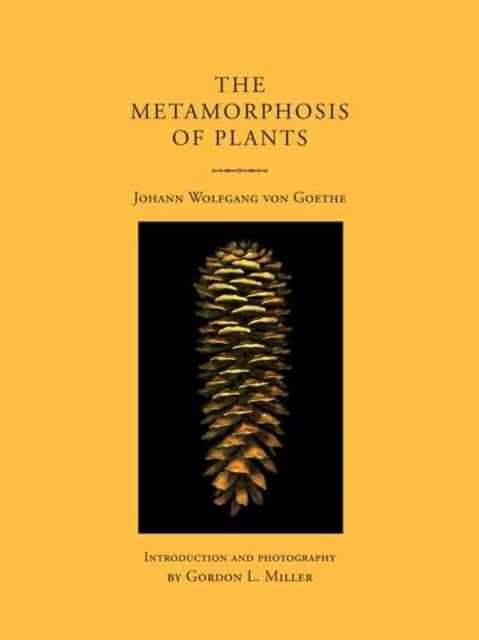 The Metamorphosis of Plants av Johann Wolfgang von Goethe