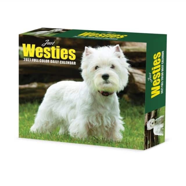 Westies 2027 Box av Willow Creek Press