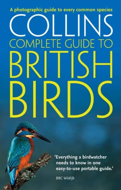British Birds av Paul Sterry