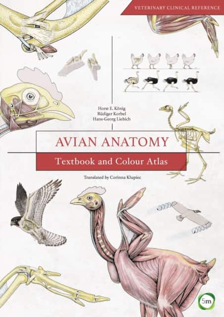 Avian Anatomy 2nd Edition av Horst Erich Konig