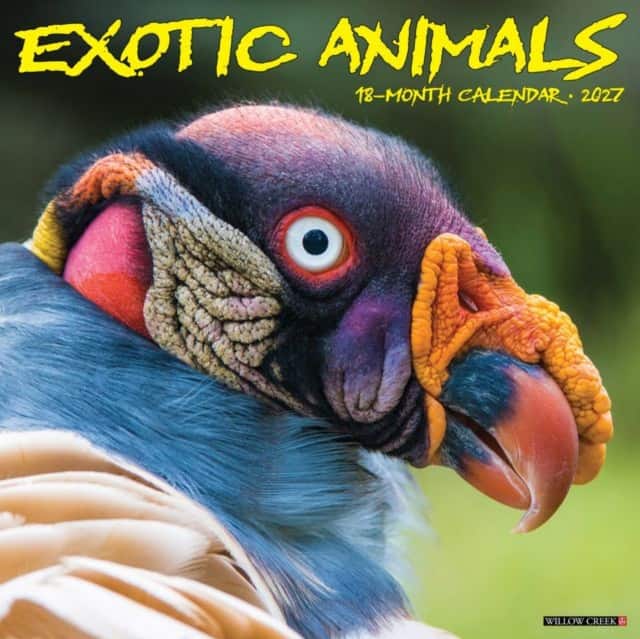 Exotic Animals 2027 Wall av Willow Creek Press