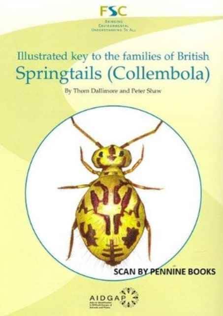 Illustrated Key to the Families of British Springtails (Collembola) av Thom Dallimore