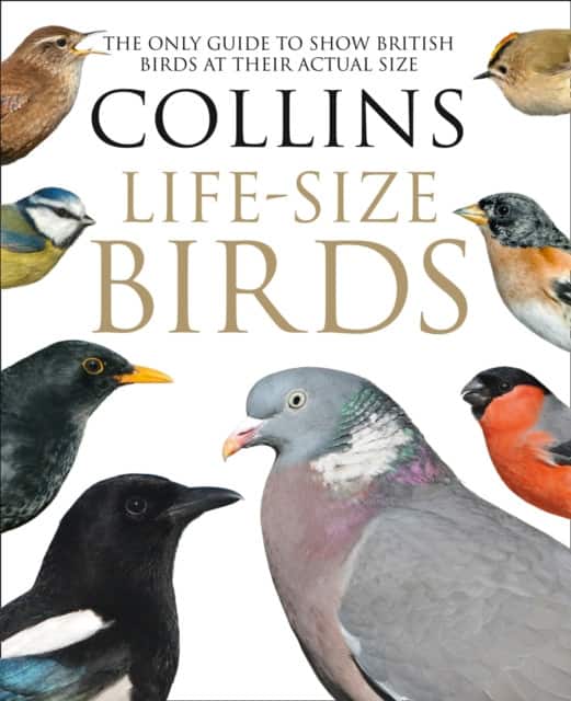 Collins Life-Size Birds av Paul Sterry