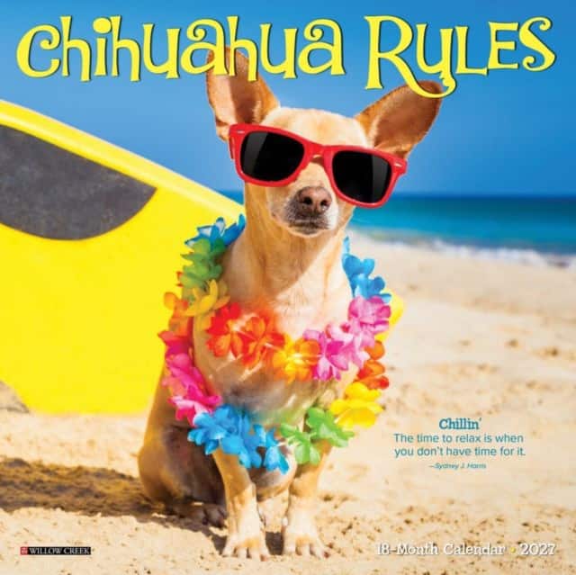 Chihuahua Rules 2027 Mini av Willow Creek Press