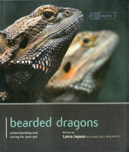 Bearded Dragon av Lance Jepson