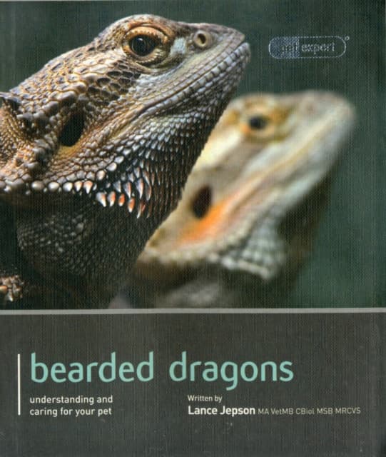Bearded Dragon