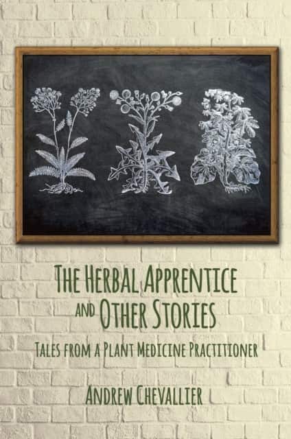 The Herbal Apprentice and Other Stories av Andrew Chevallier
