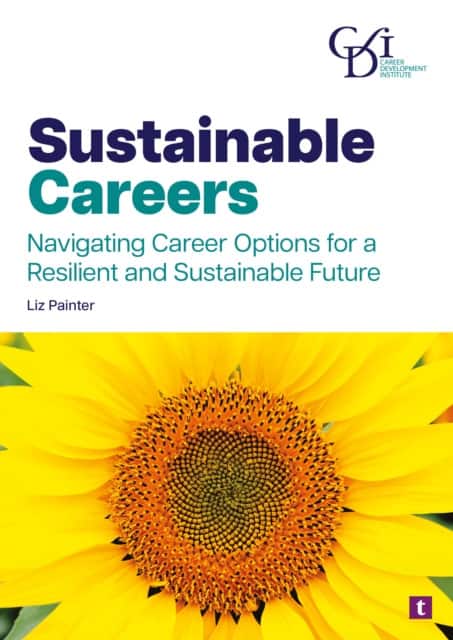 Sustainable Careers av Liz Painter