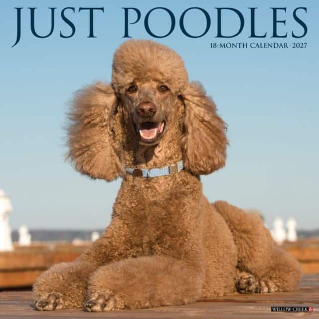 Poodles 2027 Wall av Willow Creek Press