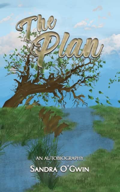 The Plan av Sandra O'Gwin