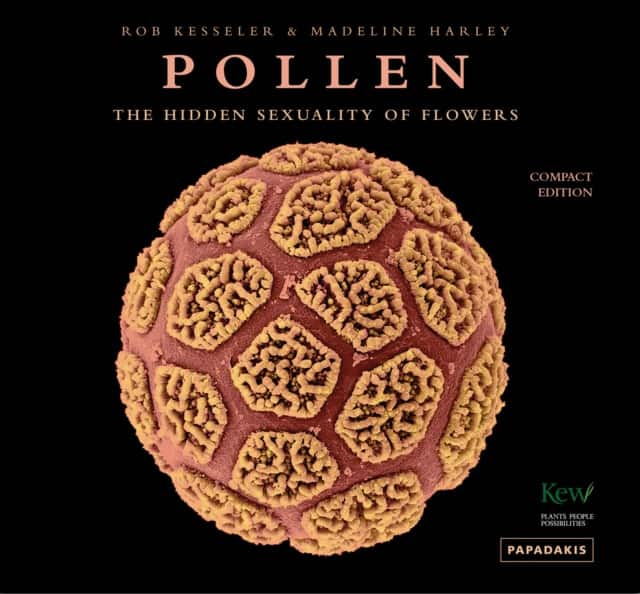 Pollen av Rob Kesseler
