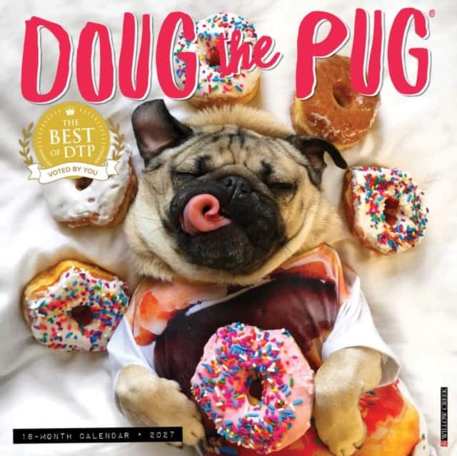 Doug the Pug 2027 Wall av Willow Creek Press