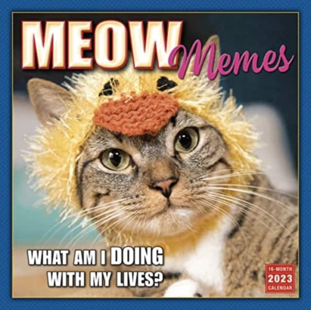 MEOW MEMES av SELLERS PUBLISHING