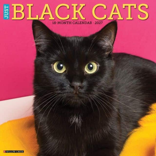Black Cats 2027 Wall av Willow Creek Press