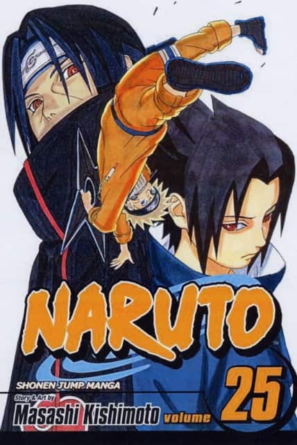 Naruto, Vol. 25 av Masashi Kishimoto