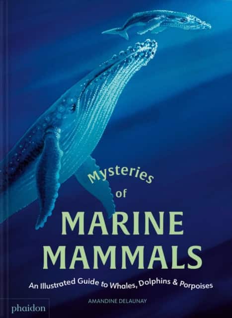 Mysteries of Marine Mammals av Amandine Delaunay